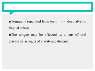 ■Tongue is separated from teeth deep alveolo
lingual sulcus.
■The tongue may be affected as a part of oral
disease or as signs of a systemic disease.
 
