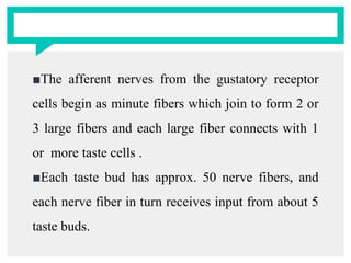 ■The afferent nerves from the gustatory receptor
cells begin as minute fibers which join to form 2 or
3 large fibers and each large fiber connects with 1
or more taste cells .
■Each taste bud has approx. 50 nerve fibers, and
each nerve fiber in turn receives input from about 5
taste buds.
 