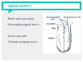 NERVE SUPPLY
Bitter and sour taste-
Glossopharyngeal nerve.
Sweet and salt-
Chorda tympani nerve.
 