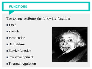 FUNCTIONS
The tongue performs the following functions:
■Taste
■Speech
■Mastication
■Deglutition
■Barrier function
■Jaw development
■Thermal regulation
 