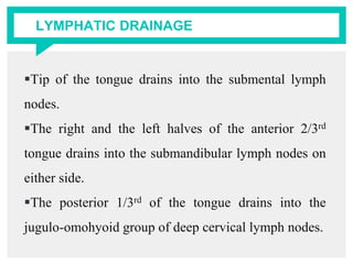 LYMPHATIC DRAINAGE
Tip of the tongue drains into the submental lymph
nodes.
The right and the left halves of the anterior 2/3rd
tongue drains into the submandibular lymph nodes on
either side.
The posterior 1/3rd of the tongue drains into the
jugulo-omohyoid group of deep cervical lymph nodes.
 