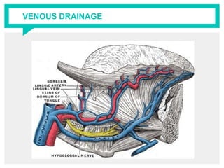 VENOUS DRAINAGE
 