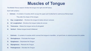 Muscles of Tongue
The Middle Fibrous septum divides the tongue into right and left halves.
Each half contains:-
 Intrinsic – It contains 4 muscles which occupy the upper part & attached to submucous fibrous layer.
They alter the shape of the tongue.
1) Sup. Longitudinal – Shortens the tongue & makes dorsum concave
2) Inf. Longitudinal – Shortens the tongue makes its convex
3) Transverse – Makes the tongue narrow & elongated
4) Vertical – Makes tongue broad & flattened
 Extrinsic – It contains 4 muscles which connect the tongue to mandible , to hyoid bone, to styloid process & to palate.
1) Genioglossus – Protrudes the tongue
2) Hyoglossus – Depresses the Tongue
3) Styloglossus – Retracts the Tongue
4) Palatoglossus – Elevates the Tongue
 