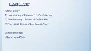 Blood Supply:
Arterial Supply:
1) Lingual Artery - Branch of Ext. Carotid Artery
2) Tonsillar Artery – Branch of Facial Artery
3) Pharyngeal Branch of Ext. Carotid Artery
Venous Drainage:
- Deep Lingual Vein
 