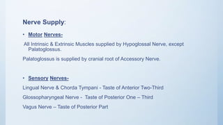 Nerve Supply:
• Motor Nerves-
All Intrinsic & Extrinsic Muscles supplied by Hypoglossal Nerve, except
Palatoglossus.
Palatoglossus is supplied by cranial root of Accessory Nerve.
• Sensory Nerves-
Lingual Nerve & Chorda Tympani - Taste of Anterior Two-Third
Glossopharyngeal Nerve - Taste of Posterior One – Third
Vagus Nerve – Taste of Posterior Part
 