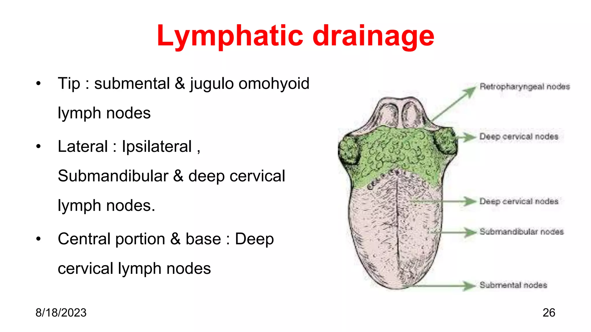 Lymphatic drainage
• Tip : submental & jugulo omohyoid
lymph nodes
• Lateral : Ipsilateral ,
Submandibular & deep cervical
lymph nodes.
• Central portion & base : Deep
cervical lymph nodes
26
8/18/2023
 