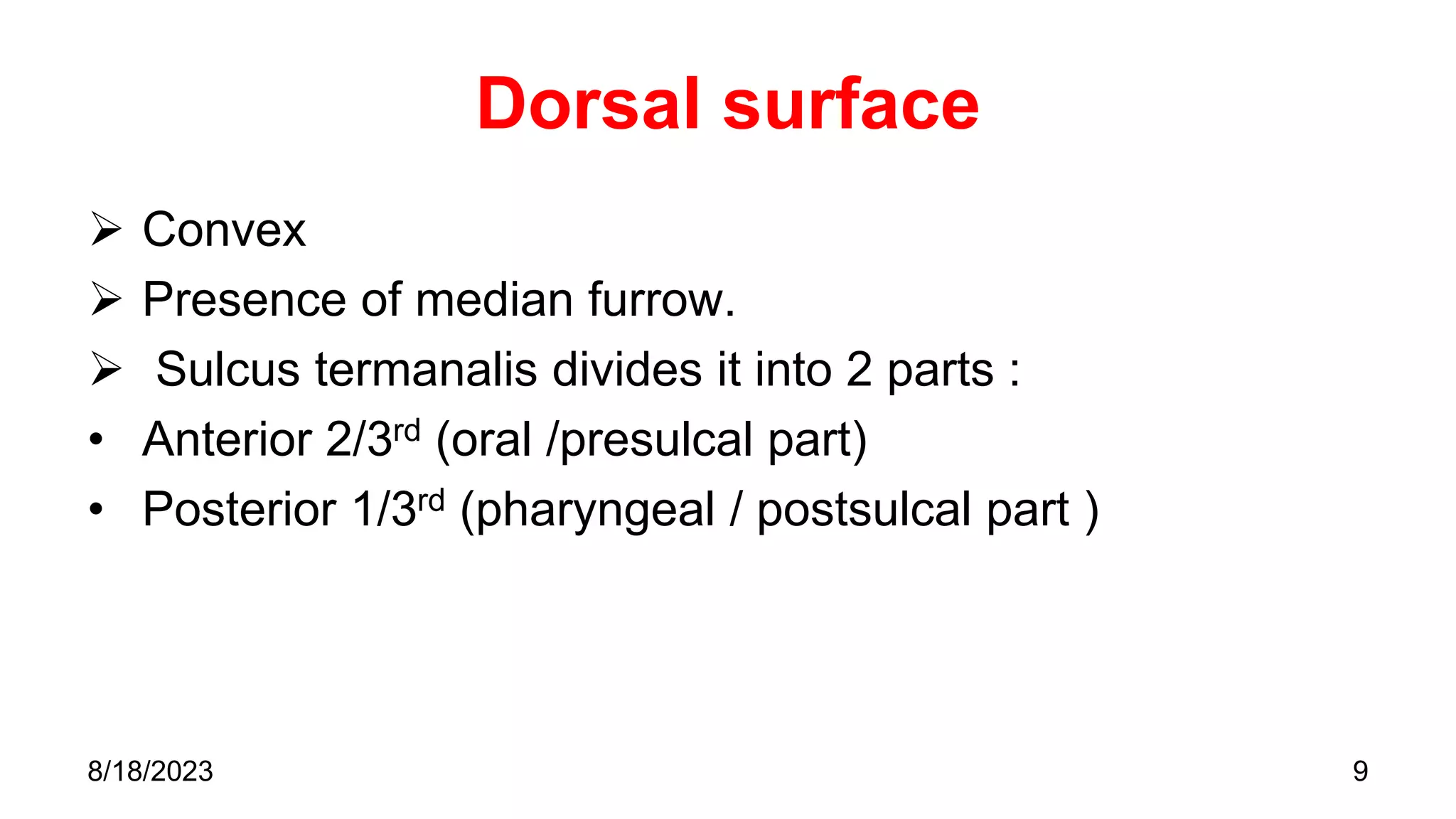 Dorsal surface
 Convex
 Presence of median furrow.
 Sulcus termanalis divides it into 2 parts :
• Anterior 2/3rd (oral /presulcal part)
• Posterior 1/3rd (pharyngeal / postsulcal part )
9
8/18/2023
 
