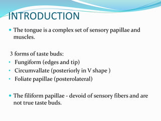 INTRODUCTION
 The tongue is a complex set of sensory papillae and
muscles.
3 forms of taste buds:
• Fungiform (edges and tip)
• Circumvallate (posteriorly in V shape )
• Foliate papillae (posterolateral)
 The filiform papillae - devoid of sensory fibers and are
not true taste buds.
 