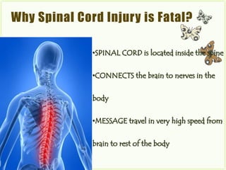 Why Spinal Cord Injury is Fatal?

              •SPINAL CORD is located inside the spine


              •CONNECTS the brain to nerves in the

              body


              •MESSAGE travel in very high speed from


              brain to rest of the body
 