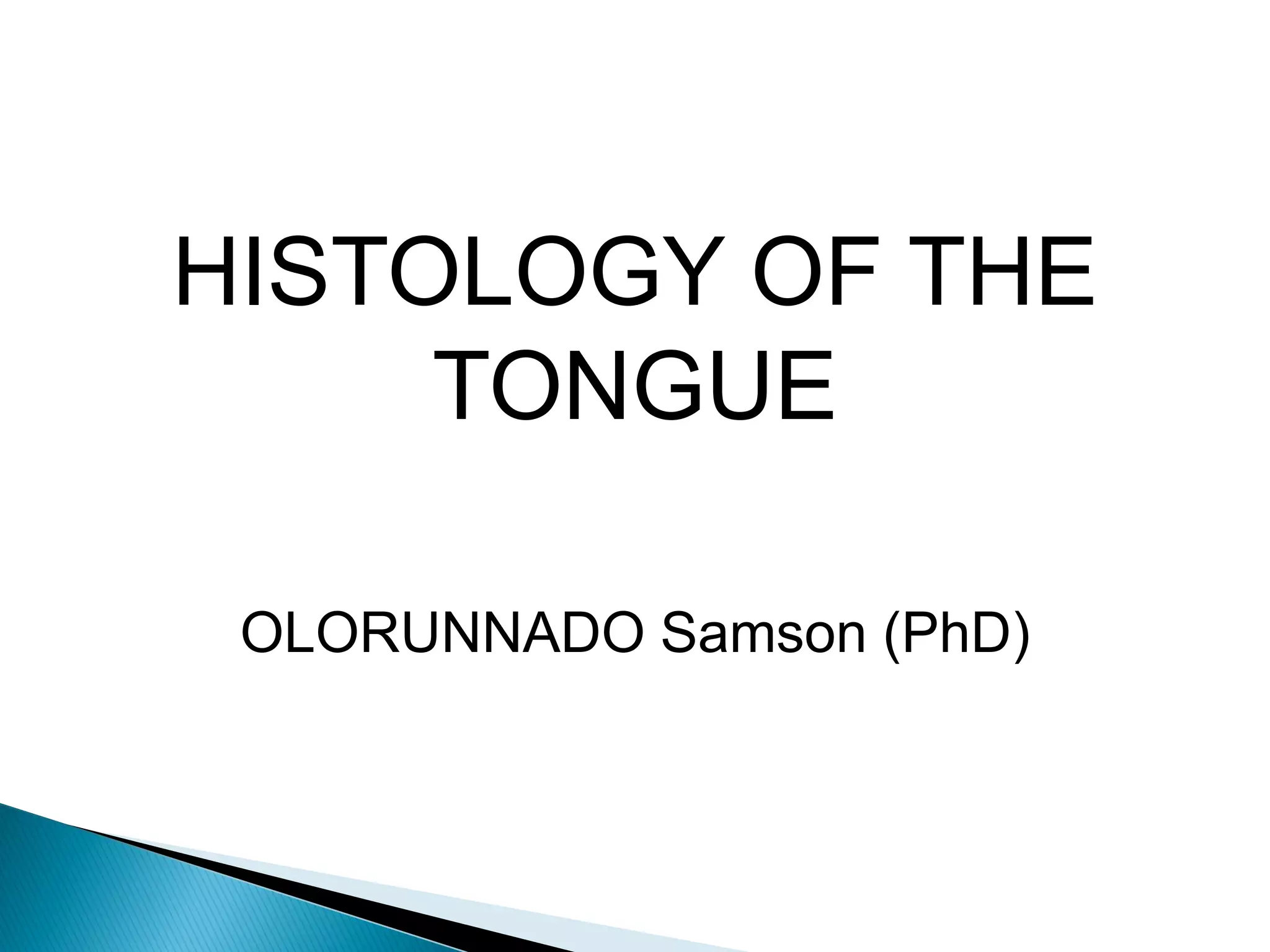 Devascularization Histology Tongue Histology Ppt