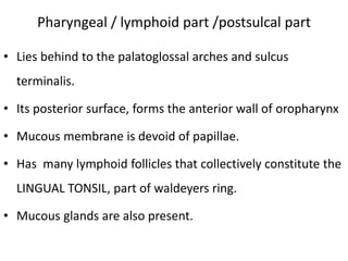 • Lies behind to the palatoglossal arches and sulcus
terminalis.
• Its posterior surface, forms the anterior wall of oropharynx
• Mucous membrane is devoid of papillae.
• Has many lymphoid follicles that collectively constitute the
LINGUAL TONSIL, part of waldeyers ring.
• Mucous glands are also present.
Pharyngeal / lymphoid part /postsulcal part
 