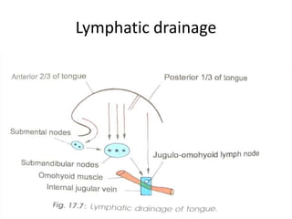 Lymphatic drainage
 