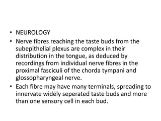 • NEUROLOGY
• Nerve fibres reaching the taste buds from the
subepithelial plexus are complex in their
distribution in the tongue, as deduced by
recordings from individual nerve fibres in the
proximal fasciculi of the chorda tympani and
glossopharyngeal nerve.
• Each fibre may have many terminals, spreading to
innervate widely seperated taste buds and more
than one sensory cell in each bud.
 