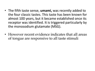 • The fifth taste sense, umami, was recently added to
the four classic tastes. This taste has been known for
almost 100 years, but it became established once its
receptor was identified. It is triggered particularly by
the monosodium glutamate (MSG).
• However recent evidence indicates that all areas
of tongue are responsive to all taste stimuli
 