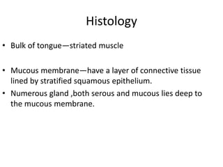 • Bulk of tongue—striated muscle
• Mucous membrane—have a layer of connective tissue
lined by stratified squamous epithelium.
• Numerous gland ,both serous and mucous lies deep to
the mucous membrane.
Histology
 