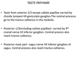 TASTE PATHWAY
• Taste from anterior 2/3 except vallate papillae carried by
chorda tympani till geniculate ganglion.The central processs
go to the tractus solitarius in the medulla.
• Posterior 1/3(including vallate papillae)- carried by 9th
cranial nerve till inferior ganglion. Central process also
reach tractus solitarius.
• Posterior most part- vagus nerve till inferior ganglion of
vagus. Central process also reach tractus solitarius.
 