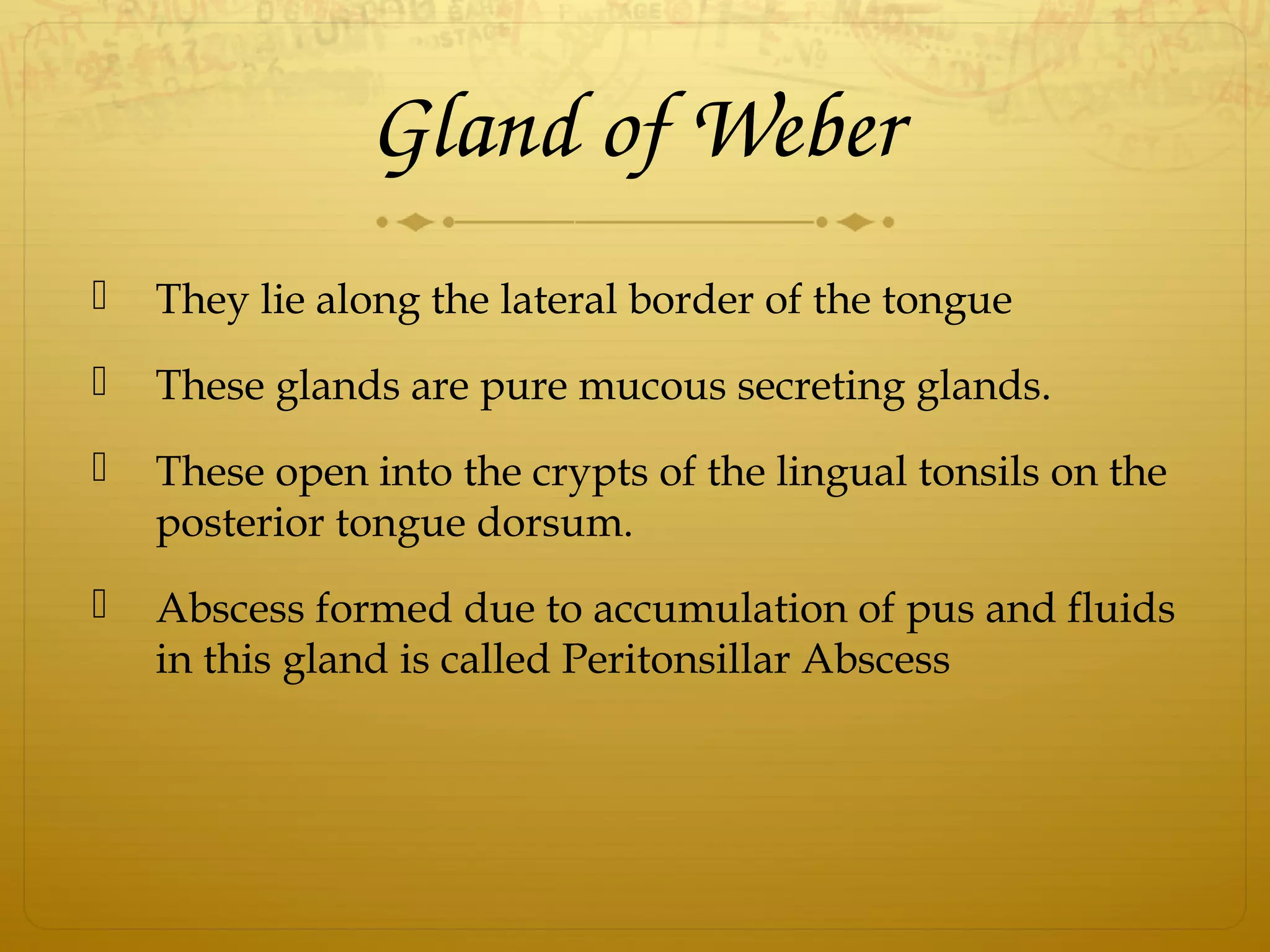 Gland of Weber
 They lie along the lateral border of the tongue
 These glands are pure mucous secreting glands.
 These open into the crypts of the lingual tonsils on the
posterior tongue dorsum.
 Abscess formed due to accumulation of pus and fluids
in this gland is called Peritonsillar Abscess
 