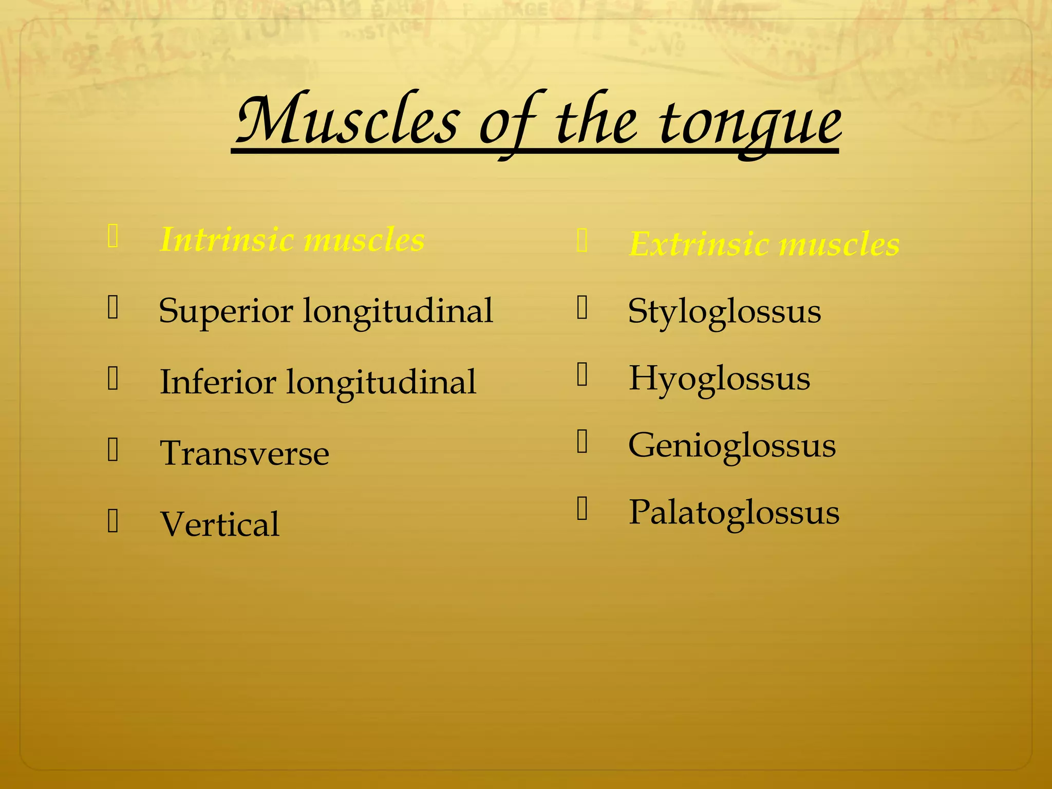 Muscles of the tongue
 Intrinsic muscles
 Superior longitudinal
 Inferior longitudinal
 Transverse
 Vertical
 Extrinsic muscles
 Styloglossus
 Hyoglossus
 Genioglossus
 Palatoglossus
 