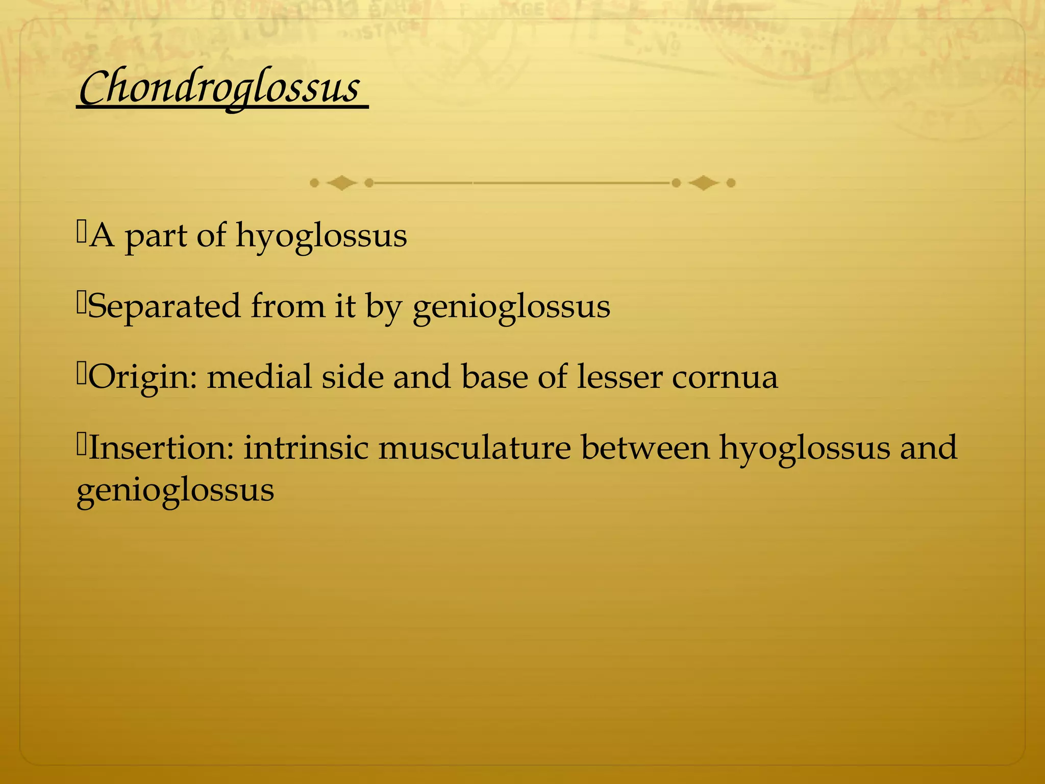 Chondroglossus 
A part of hyoglossus
Separated from it by genioglossus
Origin: medial side and base of lesser cornua
Insertion: intrinsic musculature between hyoglossus and
genioglossus
 