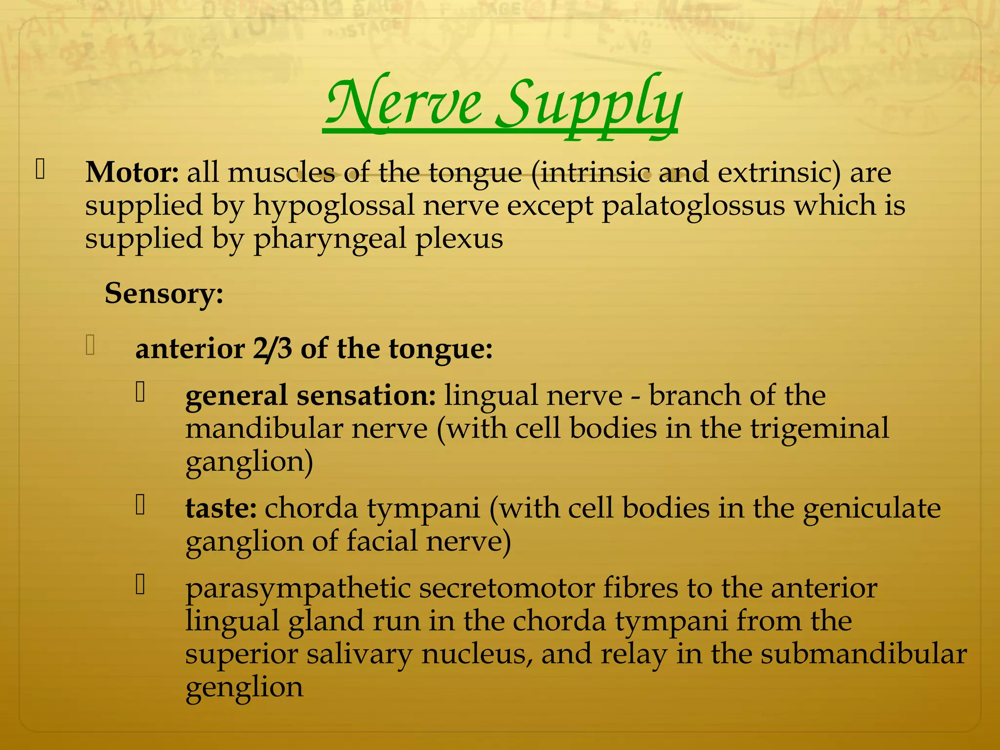Nerve Supply
 Motor: all muscles of the tongue (intrinsic and extrinsic) are
supplied by hypoglossal nerve except palatoglossus which is
supplied by pharyngeal plexus
Sensory:
 anterior 2/3 of the tongue:
 general sensation: lingual nerve - branch of the
mandibular nerve (with cell bodies in the trigeminal
ganglion)
 taste: chorda tympani (with cell bodies in the geniculate
ganglion of facial nerve)
 parasympathetic secretomotor fibres to the anterior
lingual gland run in the chorda tympani from the
superior salivary nucleus, and relay in the submandibular
genglion
 