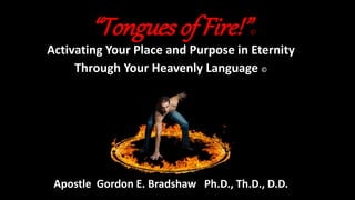 “Tongues of Fire!”©
Activating Your Place and Purpose in Eternity
Through Your Heavenly Language ©
Apostle Gordon E. Bradshaw Ph.D., Th.D., D.D.
 