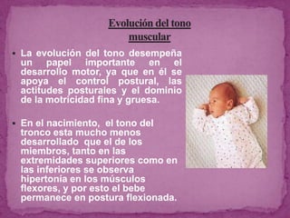  La evolución del tono desempeña
un papel importante en el
desarrollo motor, ya que en él se
apoya el control postural, las
actitudes posturales y el dominio
de la motricidad fina y gruesa.
 En el nacimiento, el tono del
tronco esta mucho menos
desarrollado que el de los
miembros, tanto en las
extremidades superiores como en
las inferiores se observa
hipertonía en los músculos
flexores, y por esto el bebe
permanece en postura flexionada.
 