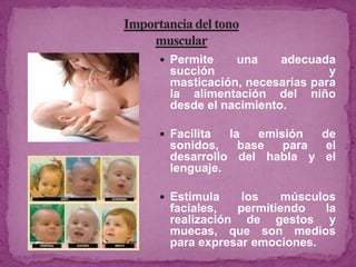  Permite una adecuada
succión y
masticación, necesarias para
la alimentación del niño
desde el nacimiento.
 Facilita la emisión de
sonidos, base para el
desarrollo del habla y el
lenguaje.
 Estimula los músculos
faciales, permitiendo la
realización de gestos y
muecas, que son medios
para expresar emociones.
 