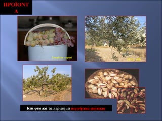 ΠΡΟΪΟΝΤ
Α

Σταφύλια - κρασί

Και φυσικά τα περίφημα αιγινήτικα φιστίκια

Ελιές - λάδι

 