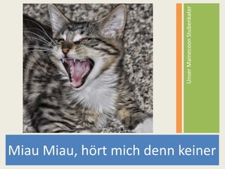 Miau Miau, hört mich denn keiner
UnserMainecoonStubenkater
 