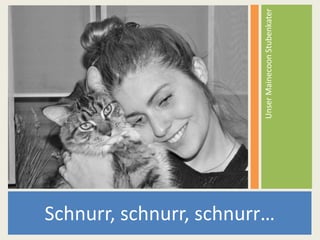 Schnurr, schnurr, schnurr…
UnserMainecoonStubenkater
 