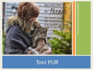 Toni PUR
UnserMainecoonStubenkater
 