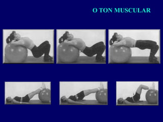 O TON MUSCULAR
 