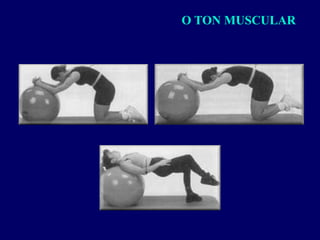 O TON MUSCULAR
 
