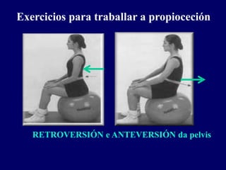 RETROVERSIÓN e ANTEVERSIÓN da pelvis
Exercicios para traballar a propioceción
 