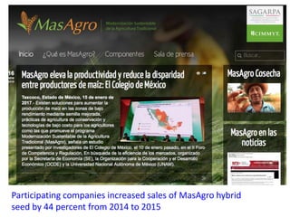 Participating companies increased sales of MasAgro hybrid
seed by 44 percent from 2014 to 2015
 
