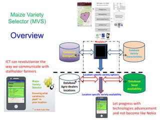 Maize Variety
Selector (MVS)
Overview
Database
Geospatial
Database
Variety
characteristics
Location specific variety options
Database
Seed
availability
Database
Agro-dealers
locations
Location specific variety availability
Analytics
Maize
Variety
Selector
Knowingwhat
varietiesto
plant* in
your location
* or stockinyour shop
Kebele: Omonada
GPS: 716644, 37.32596
Maturity: 160 days(late)
Variety: BH661
Additional info:
drought tolerant, yield potential 95-120 q/ha, …. >>
Jimma
Ethiopia
MaizeVarietySelector i
TakingMaizeAgronomytoScaleinAfrica -TAMASA 5
Maize
Variety
Selector
Knowing what
varietiesto
plant* in
your location
* or stock in your shop
Kebele: Omonada
GPS: 716644, 37.32596
Maturity: 160 days (late)
Variety: BH 661
Additional info:
drought tolerant, yield potential 95-120 q/ha, …. >>
Jimma
Ethiopia
MaizeVariety Selector i
TakingMaizeAgronomy to Scale inAfrica - TAMASA 5
ICT can revolutionize the
way we communicate with
stallholder farmers
Let progress with
technologies advancement
and not become like Nokia
 