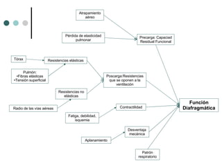 Función Diafragmática Precarga: Capaciad Residual Funcional Poscarga:Resistencias que se oponen a la ventilación Resistencias elásticas Tórax Pulmón: Fibras elásticas Tensión superficial Atrapamiento aéreo Pérdida de elasticidad pulmonar Resistencias no elásticas Radio de las vías aéreas Fatiga, debilidad, isquemia Contractilidad Desventaja mecánica Aplanamiento Patrón respiratorio 