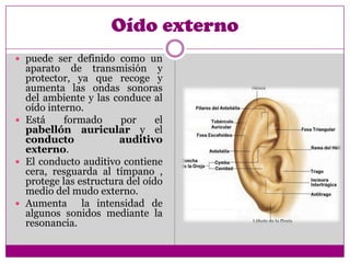 Oído externo
 puede ser definido como un
  aparato de transmisión y
  protector, ya que recoge y
  aumenta las ondas sonoras
  del ambiente y las conduce al
  oído interno.
 Está     formado     por      el
  pabellón auricular y el
  conducto             auditivo
  externo.
 El conducto auditivo contiene
  cera, resguarda al tímpano ,
  protege las estructura del oído
  medio del mudo externo.
 Aumenta      la intensidad de
  algunos sonidos mediante la
  resonancia.
 