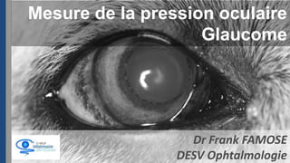 Mesure de la pression oculaire
Glaucome

Dr Frank FAMOSE
DESV Ophtalmologie

 