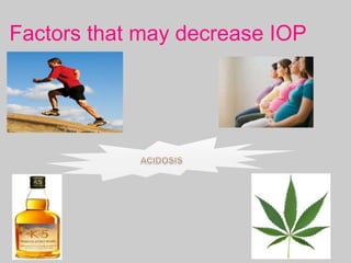 Factors that may decrease IOP
 