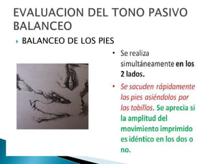 

BALANCEO DE LOS PIES

 
