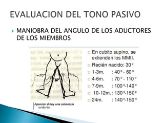 

MANIOBRA DEL ANGULO DE LOS ADUCTORES
DE LOS MIEMBROS

 