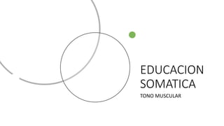 EDUCACION
SOMATICA
TONO MUSCULAR
 