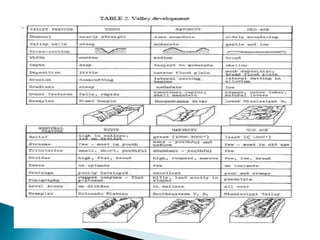 Tono, textura, patrones