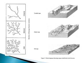 Tono, textura, patrones