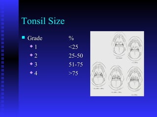 Tonsil Size
 GradeGrade %%
 11 <25<25
 22 25-5025-50
 33 51-7551-75
 44 >75>75
 