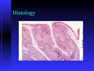Histology
 