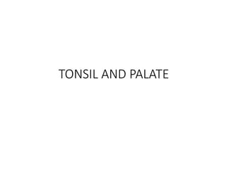 TONSIL AND PALATE
 