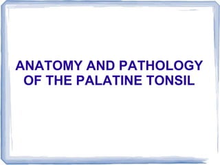ANATOMY AND PATHOLOGY
OF THE PALATINE TONSIL
 