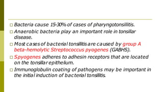 □ Bacteria cause 15-30% of cases of pharyngotonsillitis.
□ Anaerobic bacteria play an important role in tonsillar
disease.
□ Most cases of bacterial tonsillitisare caused by group A
beta-hemolytic Streptococcus pyogenes (GABHS).
□ Spyogenes adheres to adhesin receptors that are located
on the tonsillar epithelium.
□ Immunoglobulin coating of pathogens may be important in
the initial induction of bacterial tonsillitis.
 